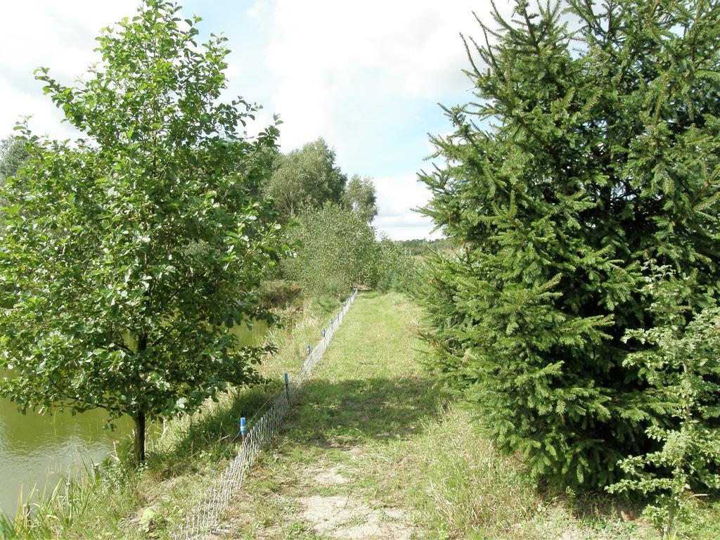 Agroturystyka "Bociek" Bełk Εξωτερικό φωτογραφία
